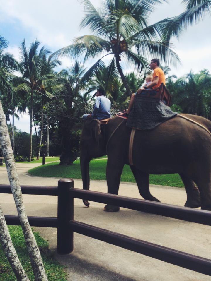 A picture of someone riding an elephant in Bali