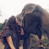 The Elephant Jungle Sanctuary in Chiang Mai