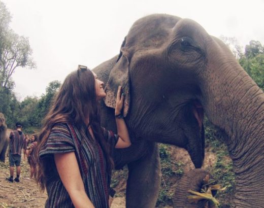 The Elephant Jungle Sanctuary in Chiang Mai