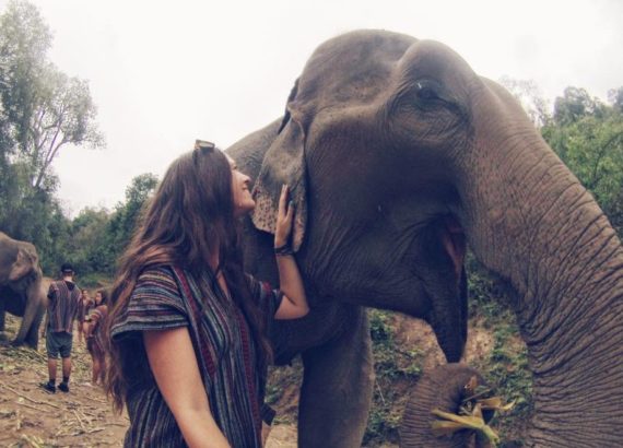 The Elephant Jungle Sanctuary in Chiang Mai