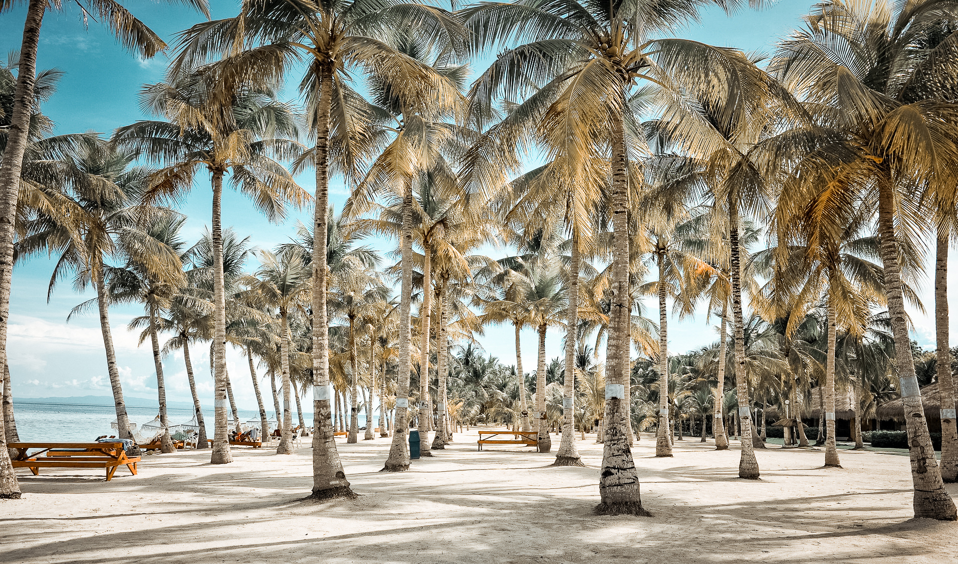 Beach in Bohol