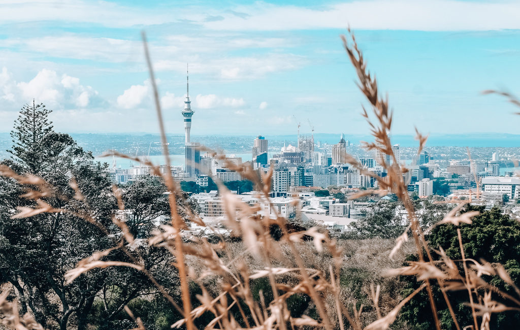 My Full Circle Moment and Final Thoughts on Living In Auckland