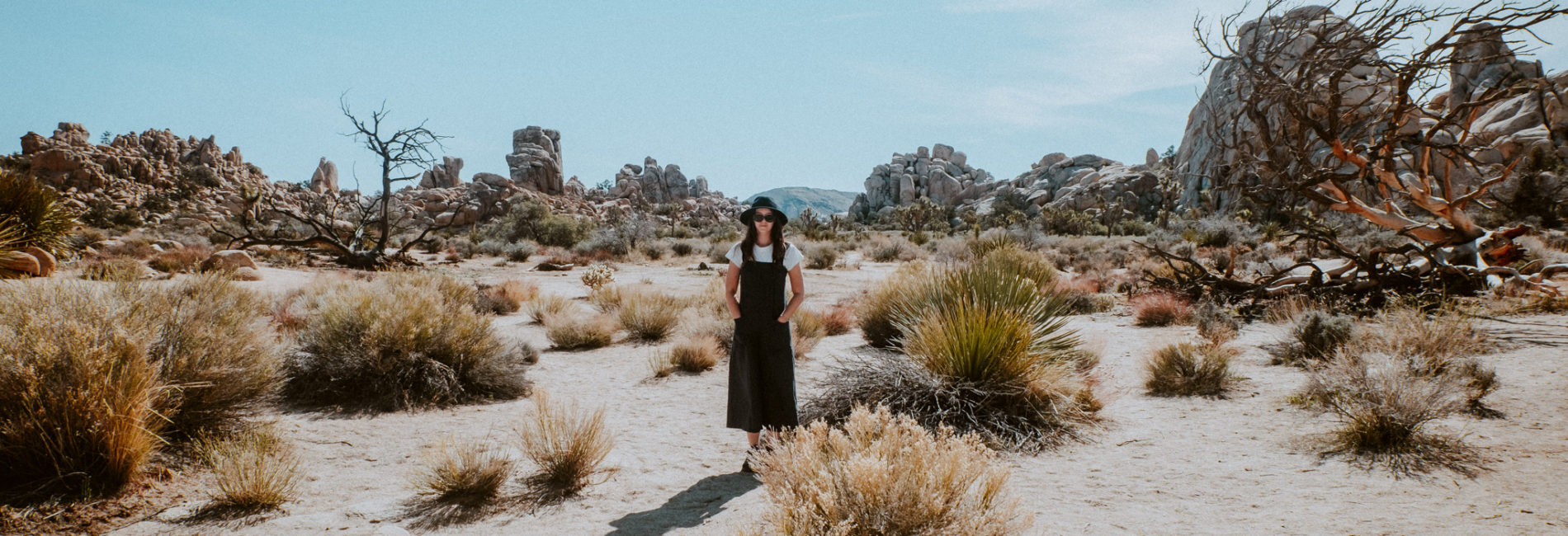 The Ultimate Guide to Spending 24 Hours in Joshua Tree National Park