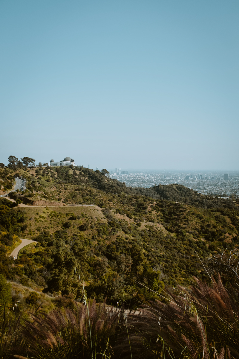 View from Mt Hollywood Road