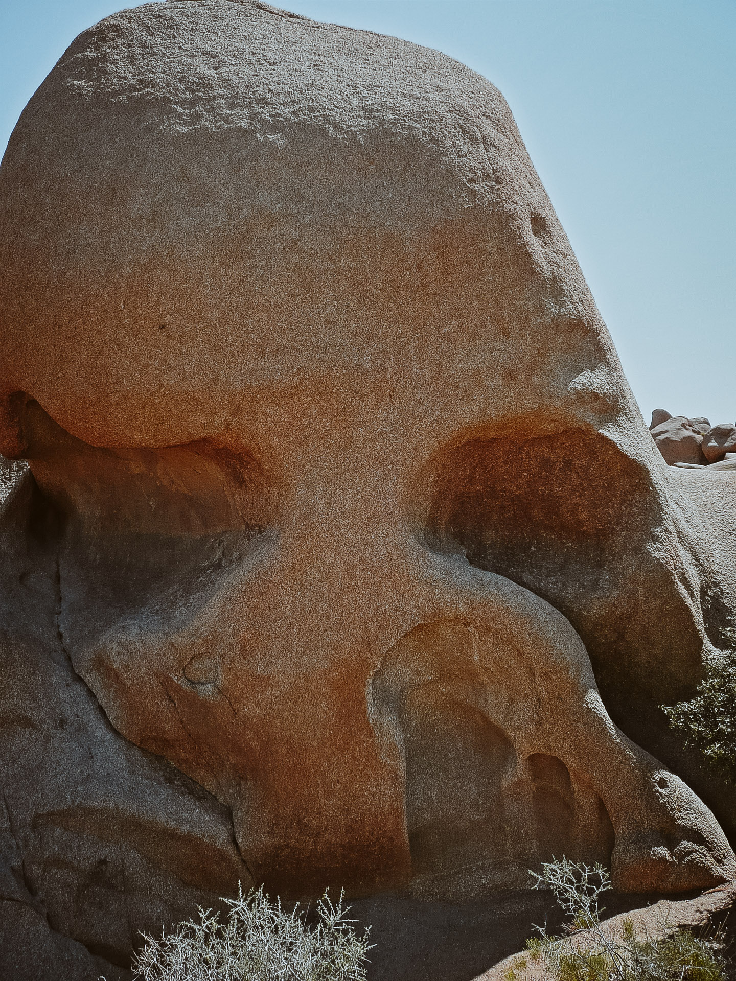 Skull rock in Joshua Treet National Park 