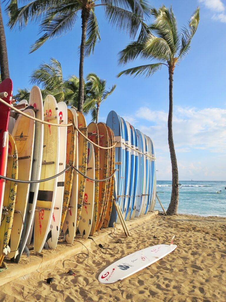 Surfboards lined up on Waikiki beach - The best hostels in Waikiki