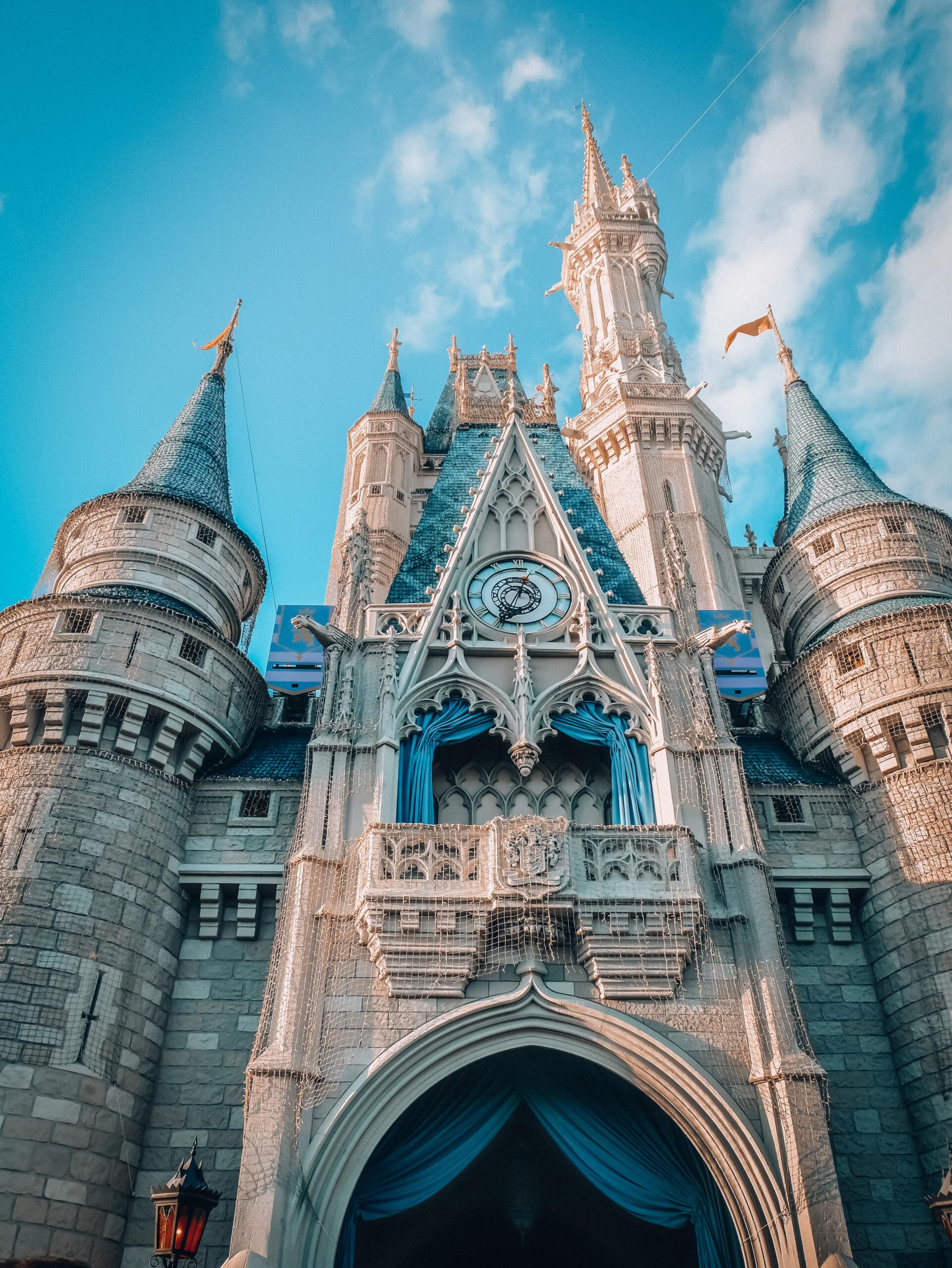 The Magic Kingdom Castle - some Disney Hotels offer a unique view of this. 