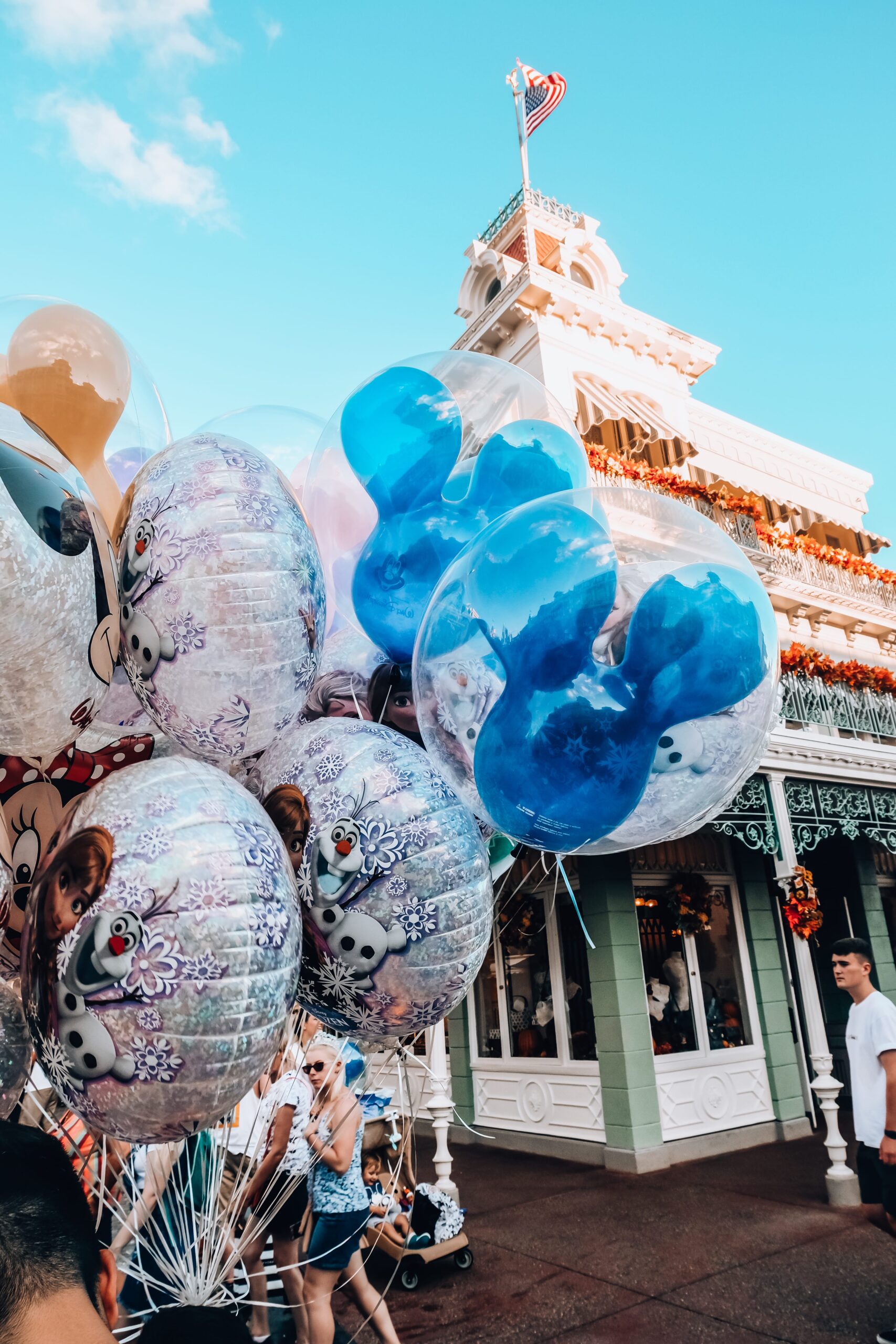 Balloons at Magic Kingdom