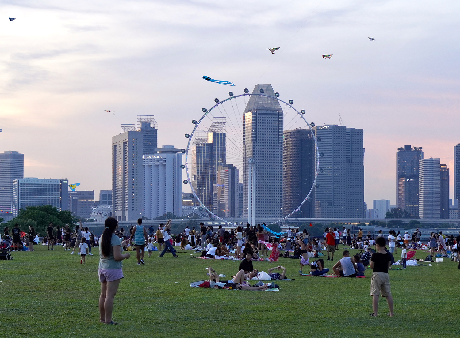 Kites flying at Marina Barrage Singapore
