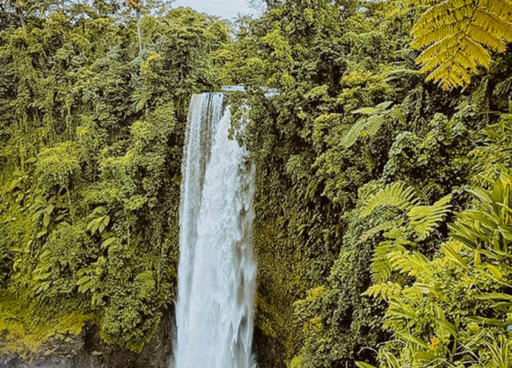 Fuipisia Waterfall is a must see on a Samoa Holiday