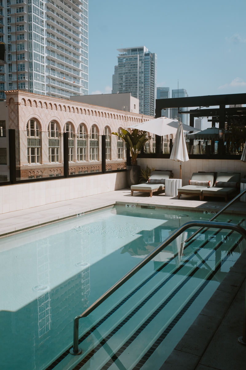 The rooftop pool at the hoxton LA 